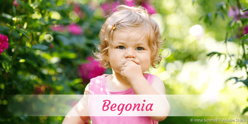 Baby mit Namen Begonia