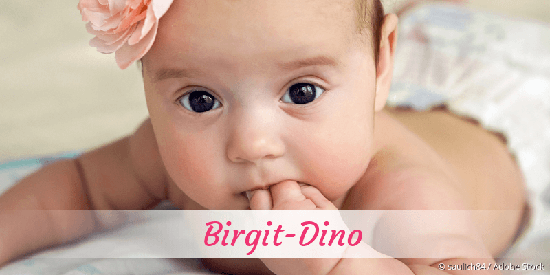 Baby mit Namen Birgit-Dino