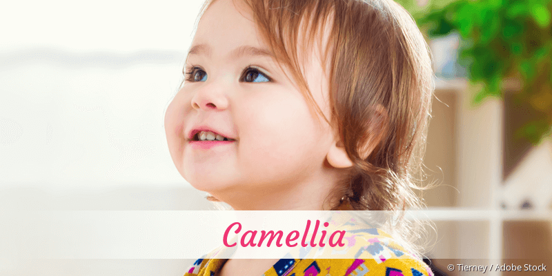 Baby mit Namen Camellia