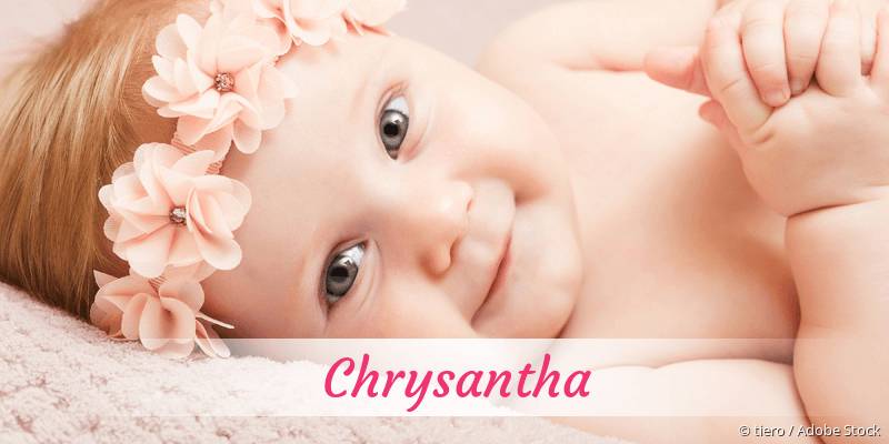 Baby mit Namen Chrysantha