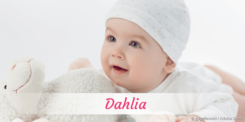 Name Dahlia als Bild