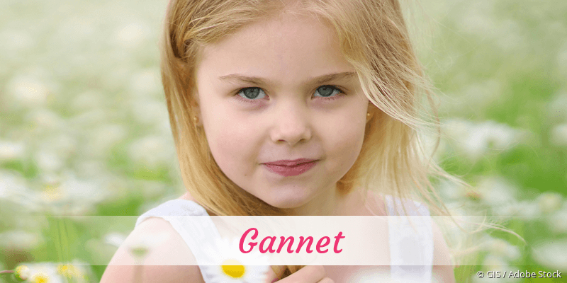Baby mit Namen Gannet