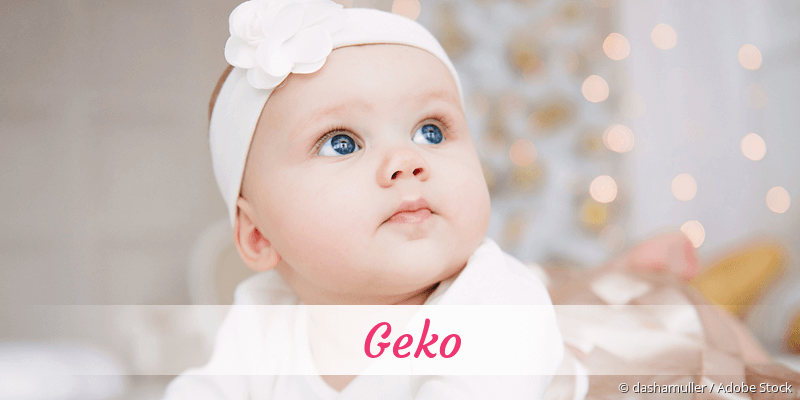 Name Geko als Bild