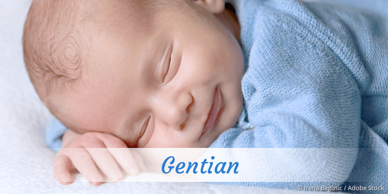 Baby mit Namen Gentian