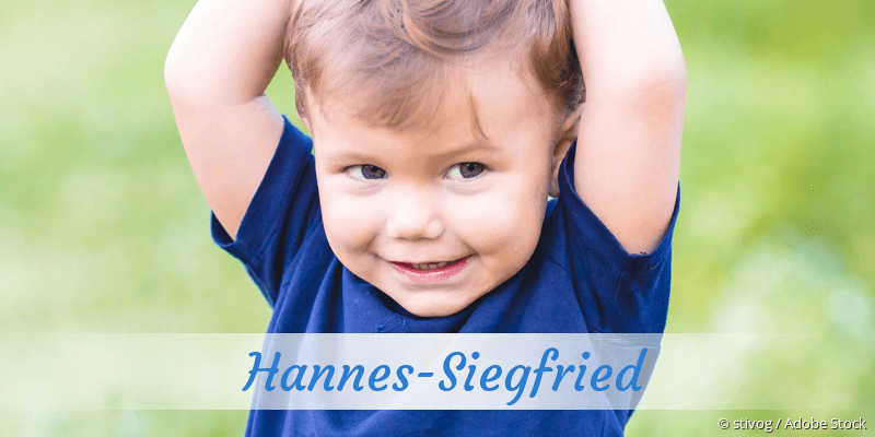 Baby mit Namen Hannes-Siegfried