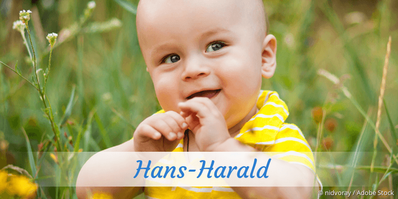 Baby mit Namen Hans-Harald