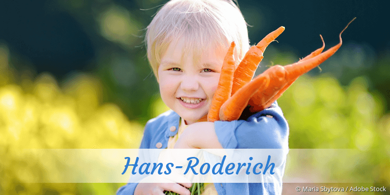 Baby mit Namen Hans-Roderich