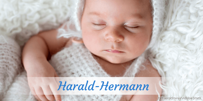 Baby mit Namen Harald-Hermann