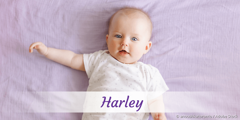 Baby mit Namen Harley