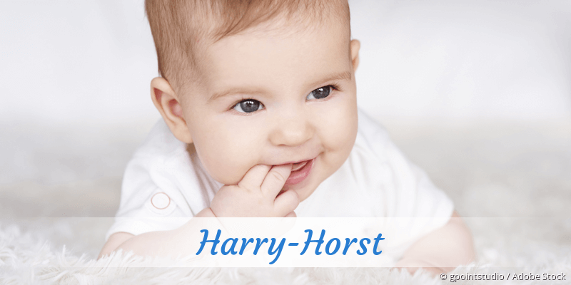 Baby mit Namen Harry-Horst