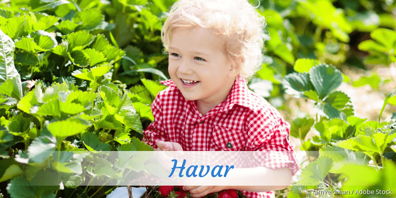 Baby mit Namen Havar