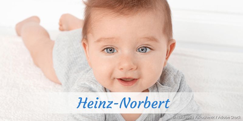 Baby mit Namen Heinz-Norbert