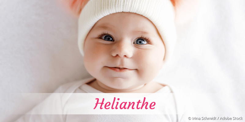 Baby mit Namen Helianthe