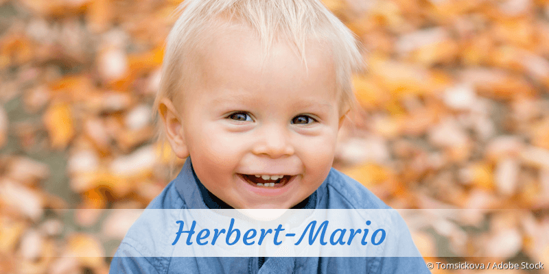 Baby mit Namen Herbert-Mario