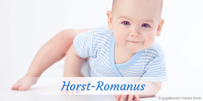 Baby mit Namen Horst-Romanus