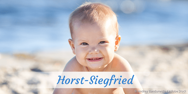 Baby mit Namen Horst-Siegfried