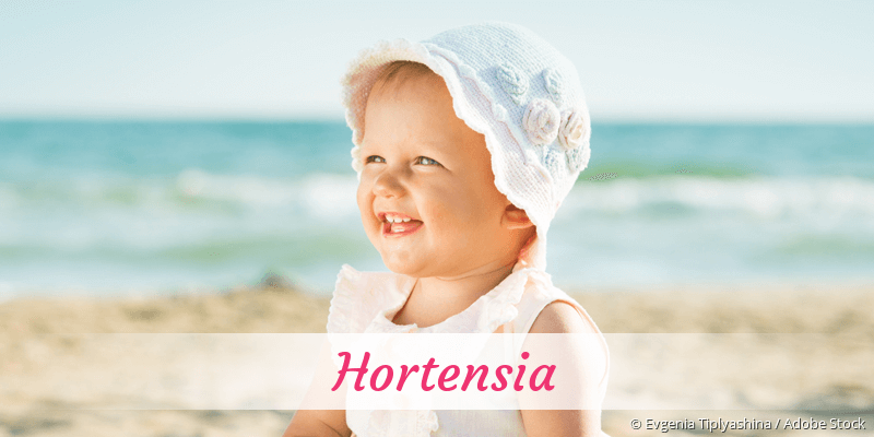 Baby mit Namen Hortensia