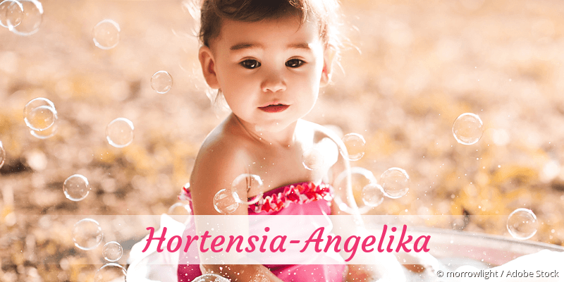 Baby mit Namen Hortensia-Angelika