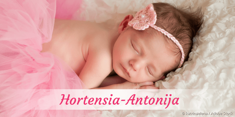Baby mit Namen Hortensia-Antonija
