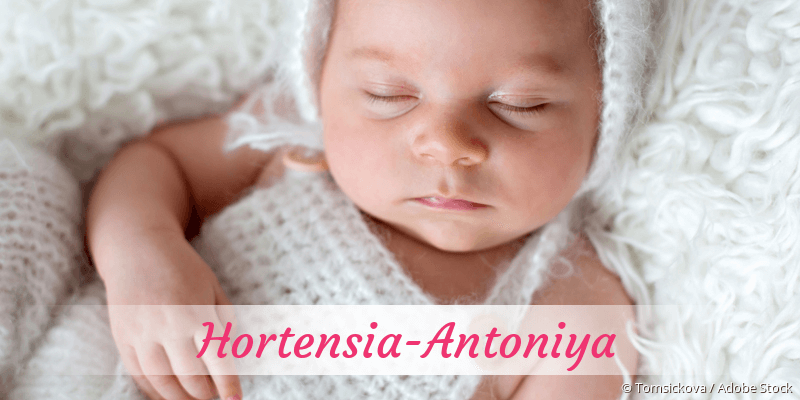 Baby mit Namen Hortensia-Antoniya