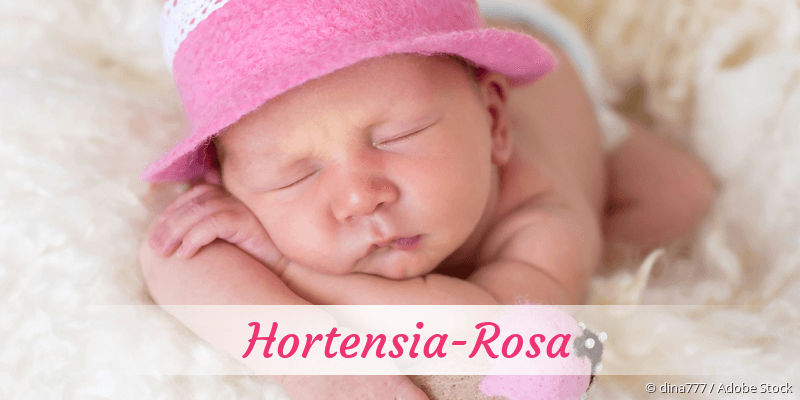 Baby mit Namen Hortensia-Rosa