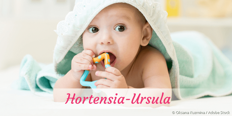 Baby mit Namen Hortensia-Ursula