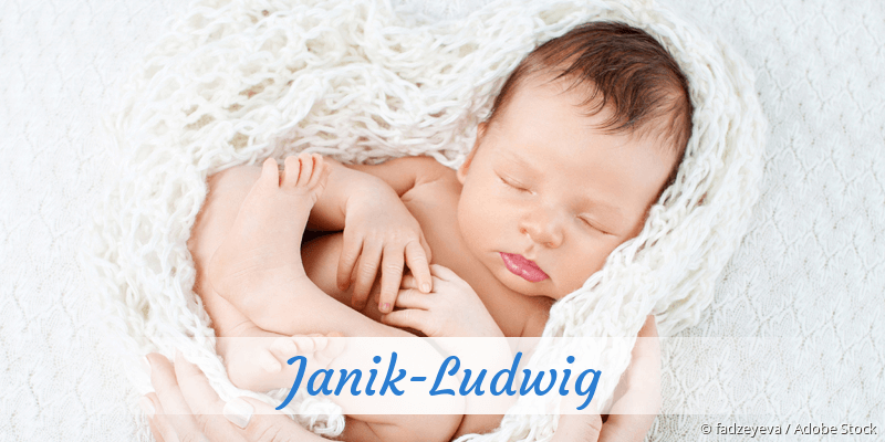Baby mit Namen Janik-Ludwig