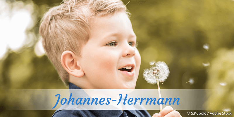 Baby mit Namen Johannes-Herrmann