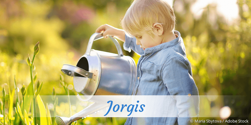 Baby mit Namen Jorgis