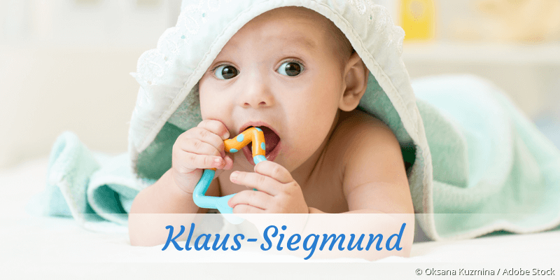 Baby mit Namen Klaus-Siegmund