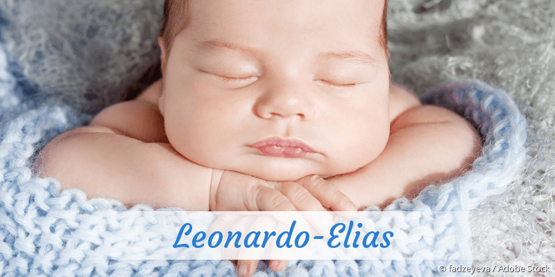 Baby mit Namen Leonardo-Elias