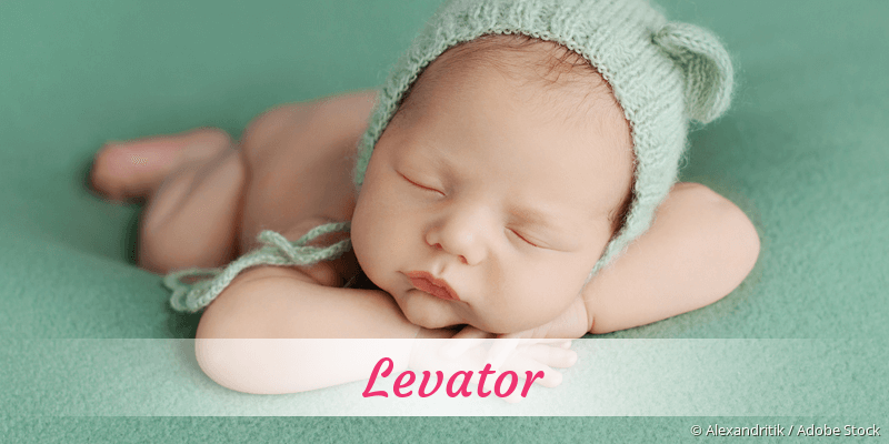 Baby mit Namen Levator