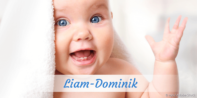 Baby mit Namen Liam-Dominik