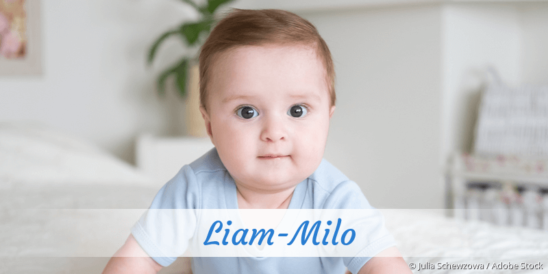 Baby mit Namen Liam-Milo
