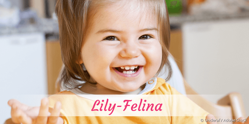 Baby mit Namen Lily-Felina
