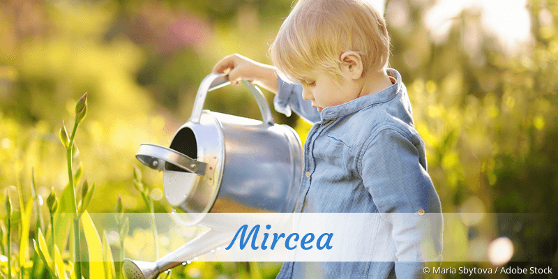 Baby mit Namen Mircea