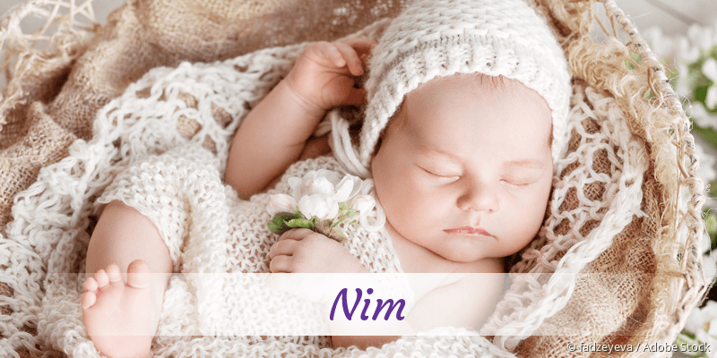 Baby mit Namen Nim