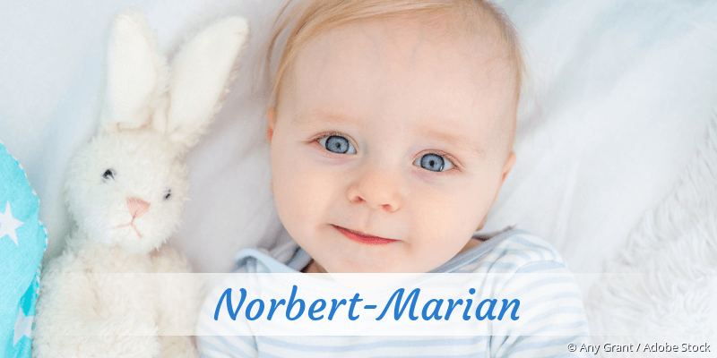 Baby mit Namen Norbert-Marian