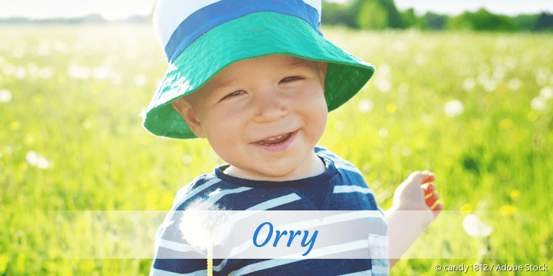 Baby mit Namen Orry