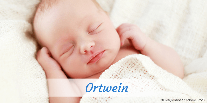 Baby mit Namen Ortwein