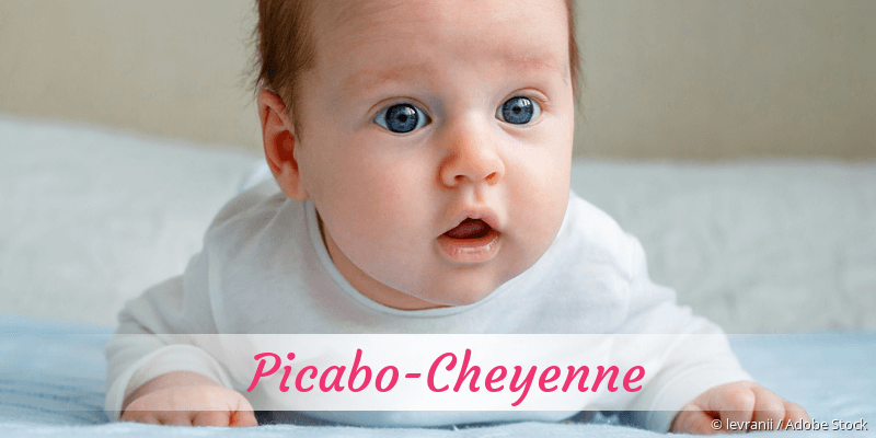 Baby mit Namen Picabo-Cheyenne