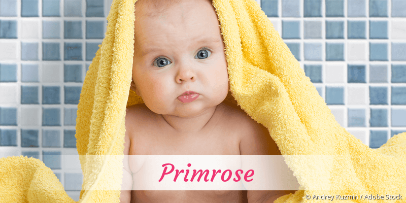 Baby mit Namen Primrose