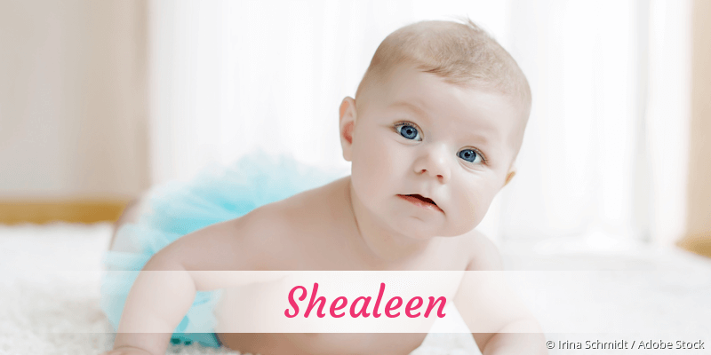 Baby mit Namen Shealeen
