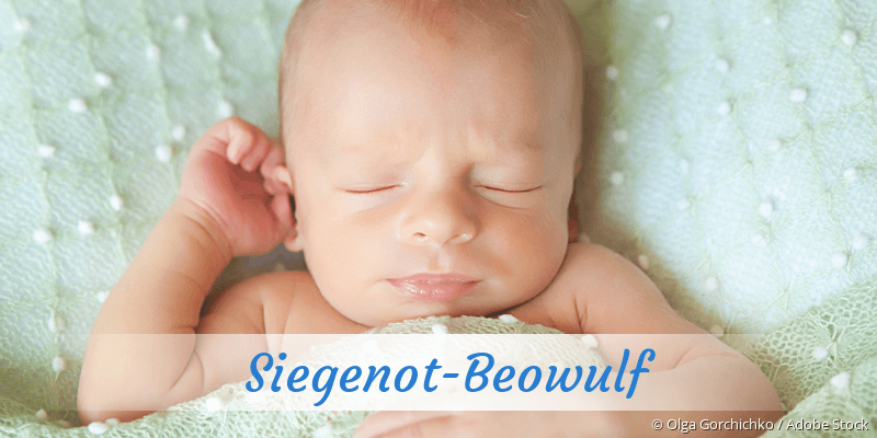Baby mit Namen Siegenot-Beowulf