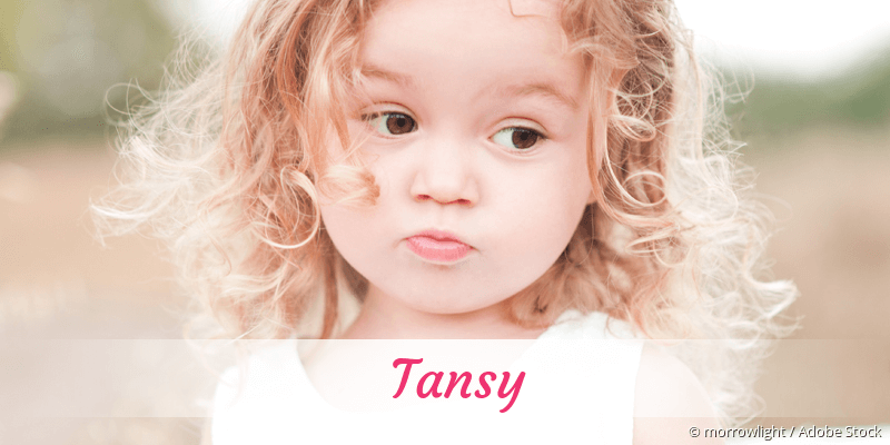 Baby mit Namen Tansy