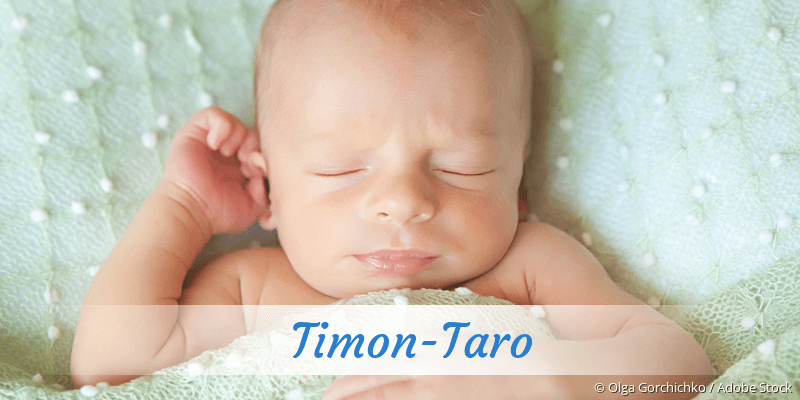 Baby mit Namen Timon-Taro