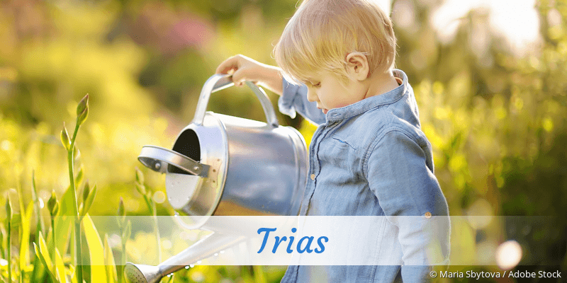 Baby mit Namen Trias