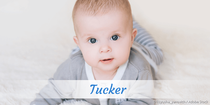 Baby mit Namen Tucker