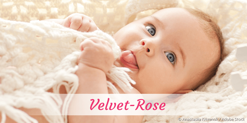 Baby mit Namen Velvet-Rose