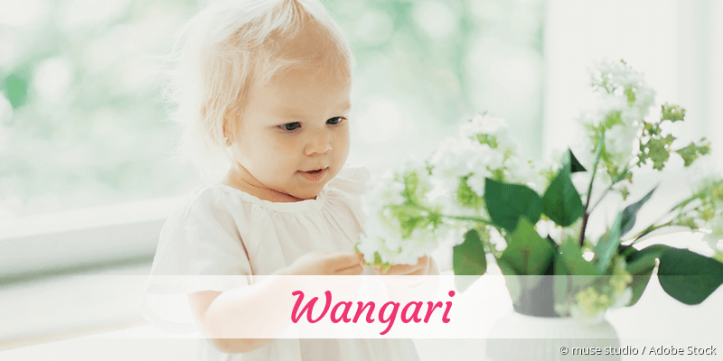 Baby mit Namen Wangari